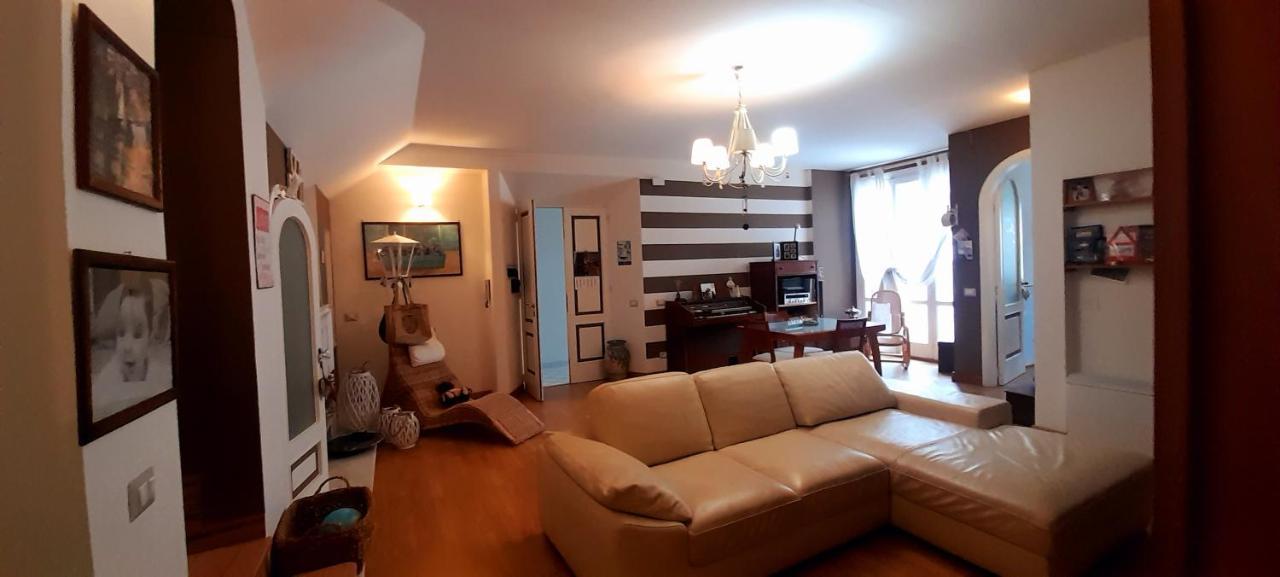 Judith Wright'S Home マイオーリ エクステリア 写真