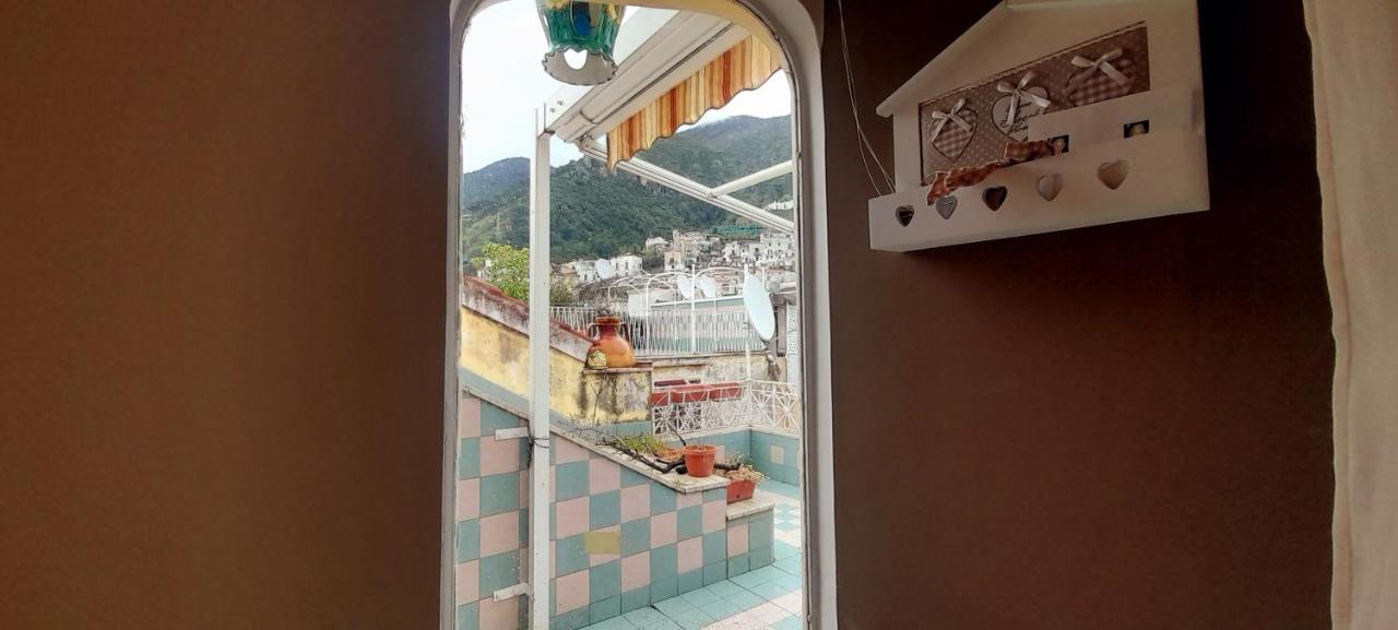Judith Wright'S Home マイオーリ エクステリア 写真