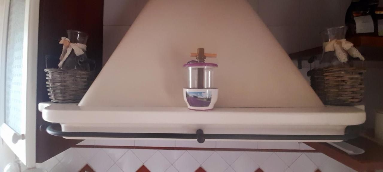 Judith Wright'S Home マイオーリ エクステリア 写真